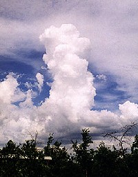 Cumulus castellanus